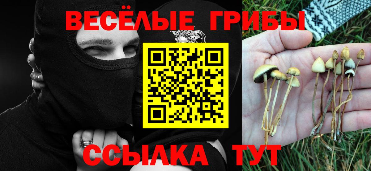Малоярославец  Псилоцибиновые грибы Cubensis  Вход с VPN  Галлюциногенные грибы мухоморы 